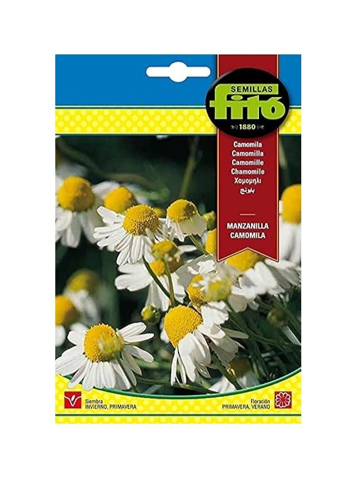 Generic Chamomile Manzanilla Camomila Seeds By Fito "Graden Care" 