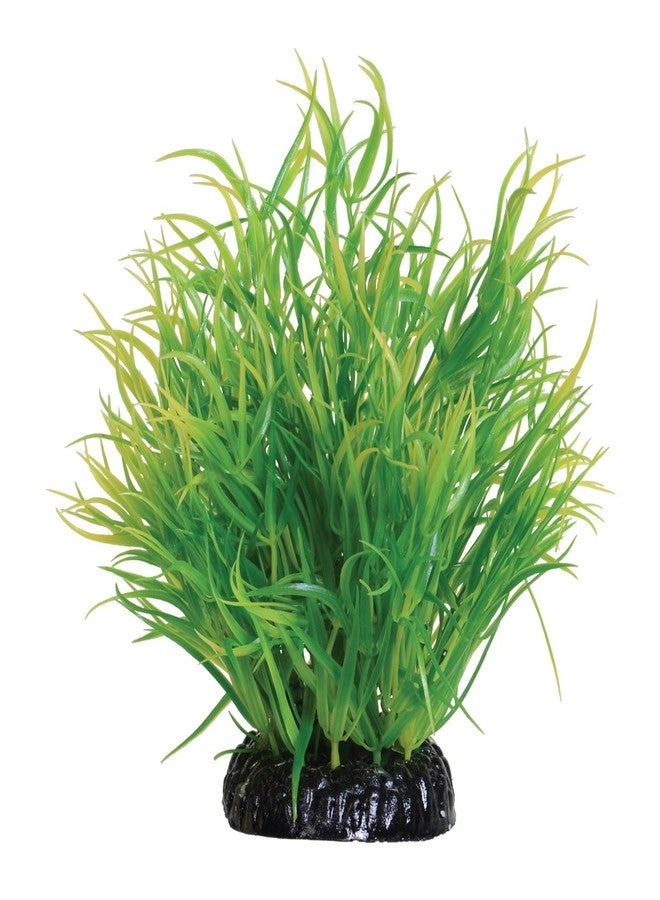 Underwater Treasures Lemon Grass - 6" - Image 1