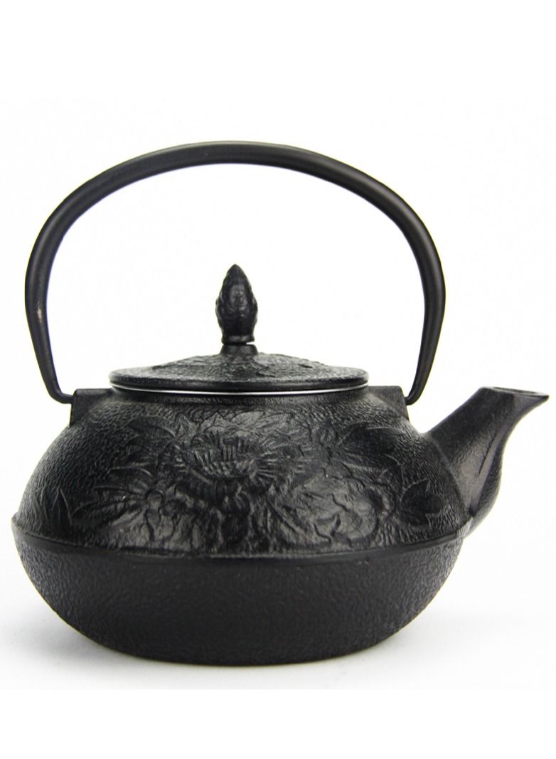 Tealand Durable Coated with Enamel Interior Cast Iron Teapot with Stainless Steel Infuser for Brewing Loose Tea Leaf 0.8 Liter Black - Image 1