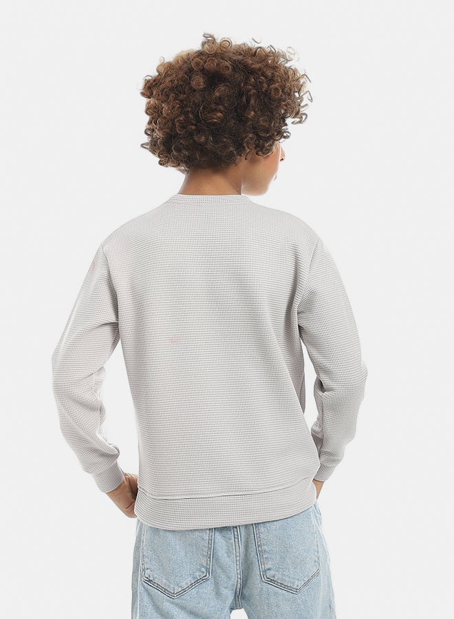 Andora Self Patterened Light Grey Long Sleeves Pullover_Light Grey - Image 4