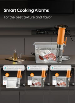 INKBIRD INKBIRD WiFi Sous Vide Machine ISV-101W Sous Vide Cooker 1000 Watts TFT Display Screen 3D Water Circulation Heating with App Preset Menus Cooking Completion Pre-alarm Overwater Protection  - Image 3