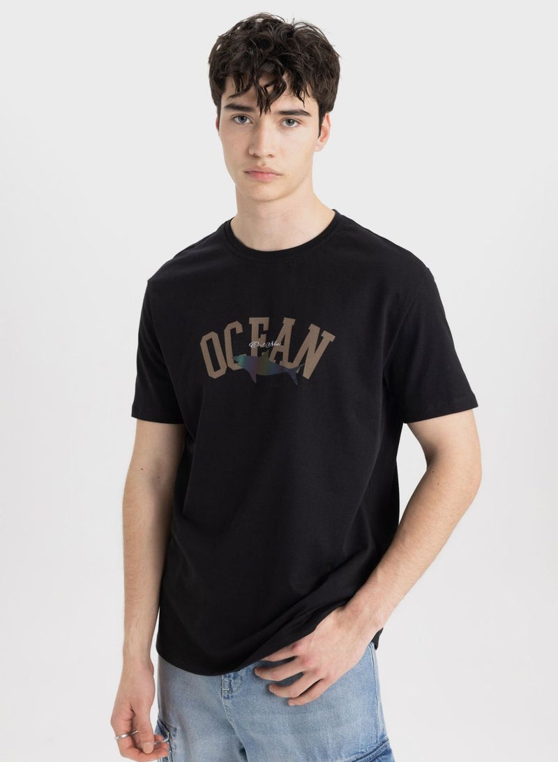 DeFacto Regular Fit Crew Neck T-Shirt - Image 3