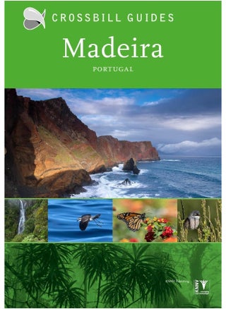 Madeira: Portugal - pzsku/Z61F393DD6702BB2F0549Z/45/_/1730195244/7e6875b6-7af8-4c82-a47f-5728b5a1103a