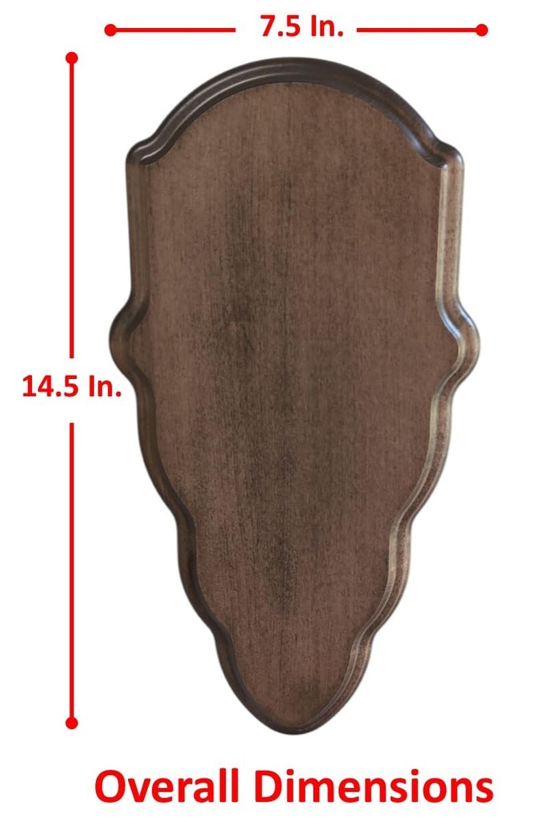 Cauff Deer Skull Mount Face Plate with Mounting Hardware, European Style, Whitetail (Walnut Finsh) - Image 3