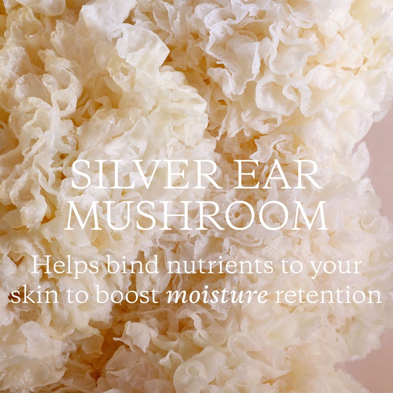 KORA Organics Milky Mushroom Oil Cleanser, Cleanse & Nourish, Certified Organic, Cruelty Free, 5.07 oz - Image 4