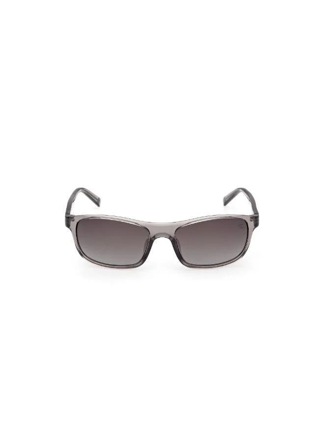Timberland wayfarers sunglasses