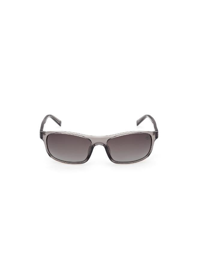 Timberland wayfarers sunglasses - Image 1