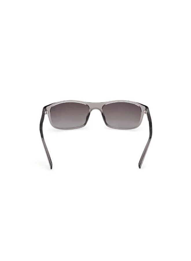 Timberland wayfarers sunglasses
