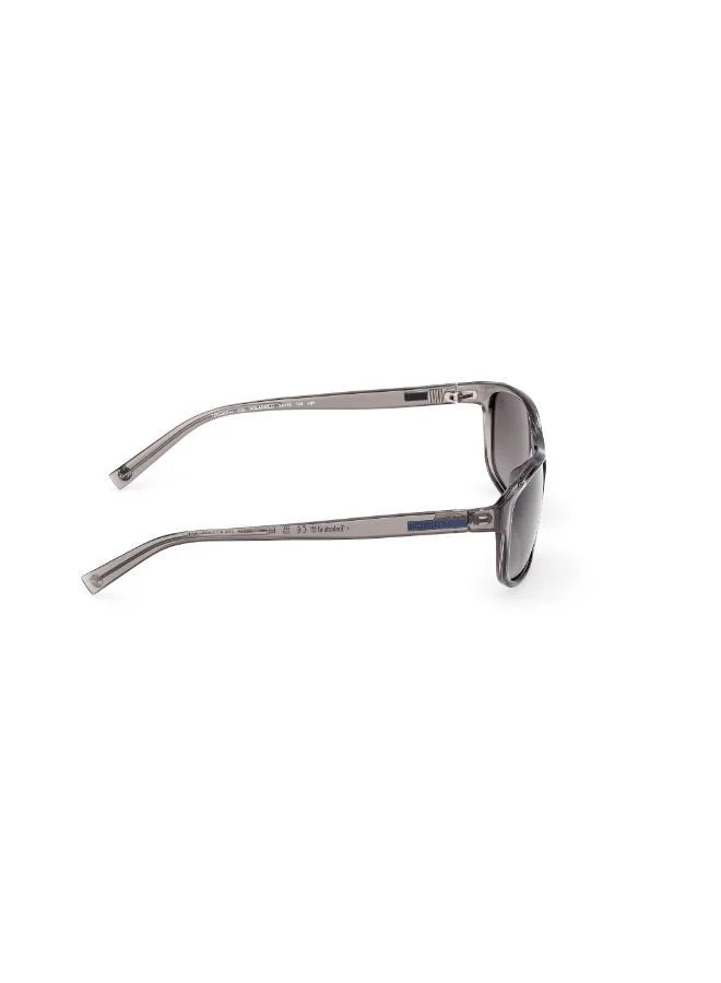 Timberland  wayfarers sunglasses for Men | Best Price UAE