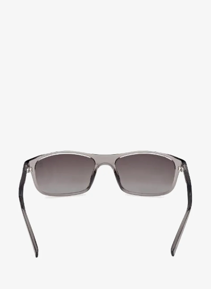 Timberland wayfarers sunglasses