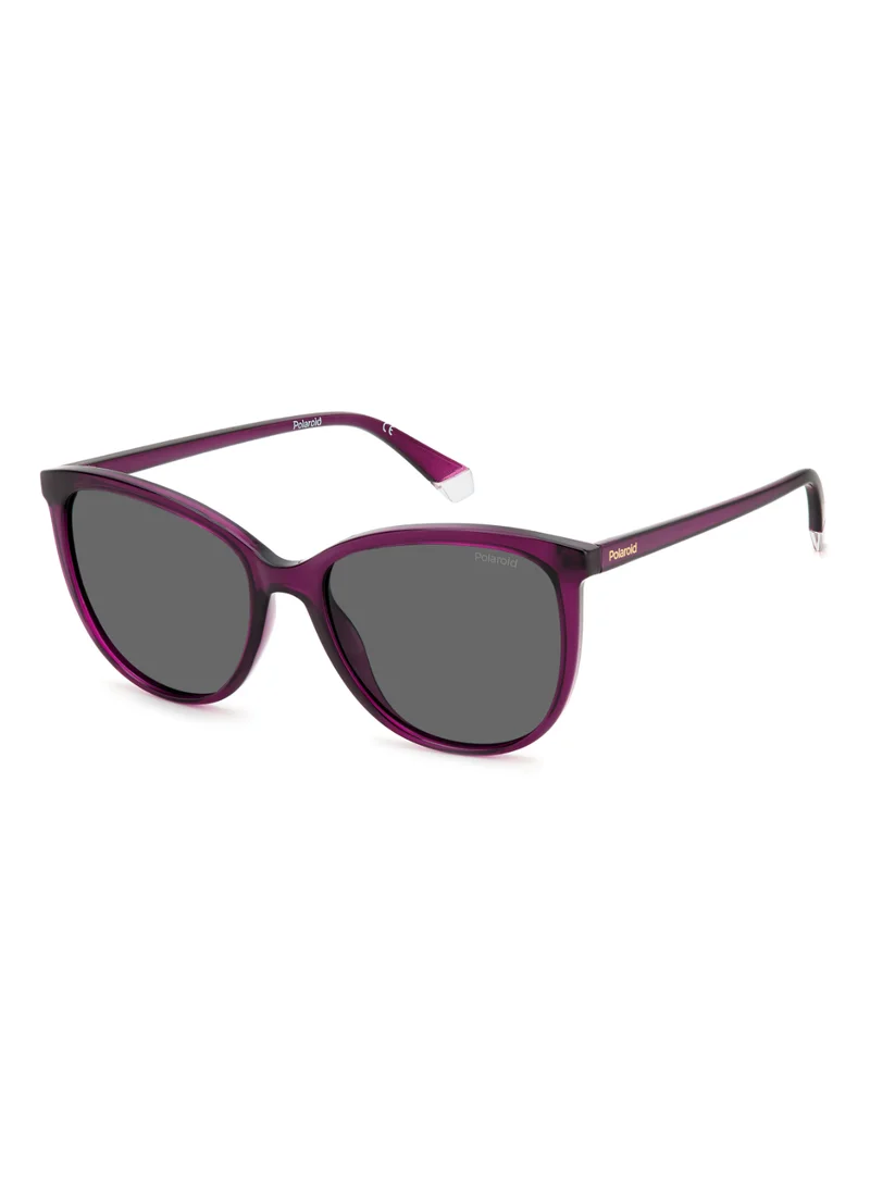 بولارويد Rectangular Polaroid Sunglasses Frames