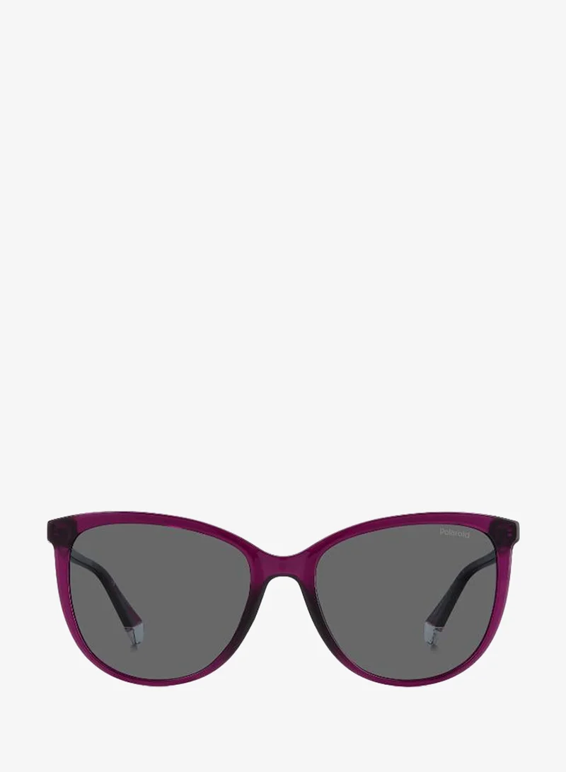 Rectangular Polaroid Sunglasses Frames
