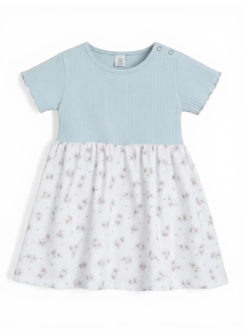 victor and jane Infant Girls Drop Needle Dress with Floral Print Skirt (Mint Stripe Top)