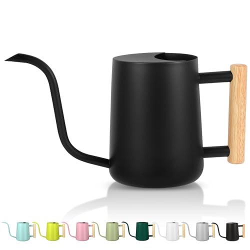 GUKJOB Plant Watering Can,35oz Metal Watering Can,Stainless Steel Indoor Plants with Long Curved Spout,Small Bonsai Outdoor Garden Modern Decorative(Black) - Image 1