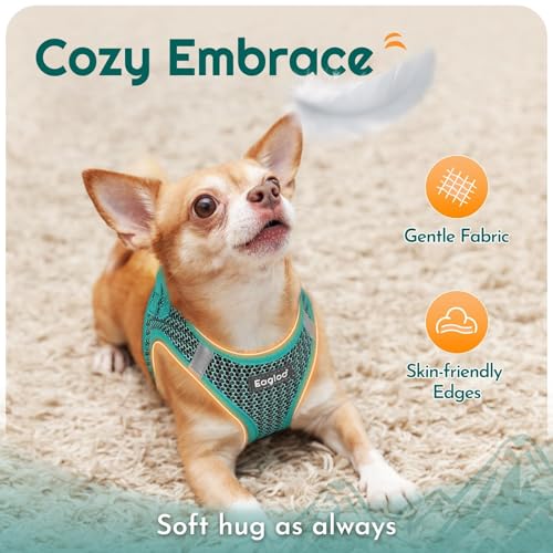 Eagloo Small Dog Harness and Leash Set, Step in Puppy Vest with Breathable Soft Mesh, Walking Reflective Pet Harness for Small Dogs, Forest Green, S - Image 4