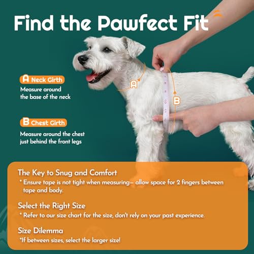 Eagloo Small Dog Harness and Leash Set, Step in Puppy Vest with Breathable Soft Mesh, Walking Reflective Pet Harness for Small Dogs, Forest Green, S - Image 2