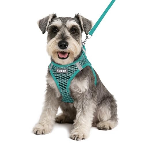 Eagloo Small Dog Harness and Leash Set, Step in Puppy Vest with Breathable Soft Mesh, Walking Reflective Pet Harness for Small Dogs, Forest Green, S - Image 1