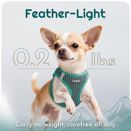 Eagloo Small Dog Harness and Leash Set, Step in Puppy Vest with Breathable Soft Mesh, Walking Reflective Pet Harness for Small Dogs, Forest Green, S - Image 5