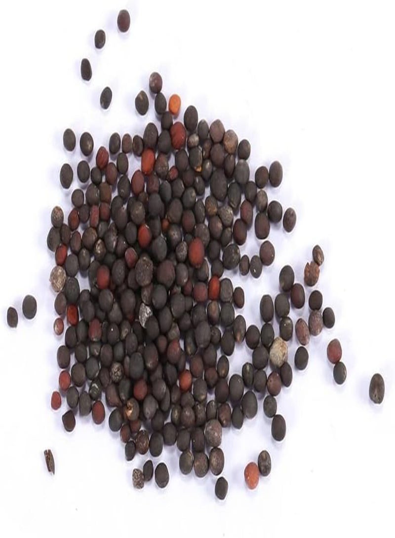 جي جوت 100 قطعة من بذور الخضروات المنزلية، براعم بروكسل، الكرنب، براسيكا أوليراسيا، للزراعة في الحديقة أو الفناء أو الهواء الطلق، مقاس واحد - Image 2