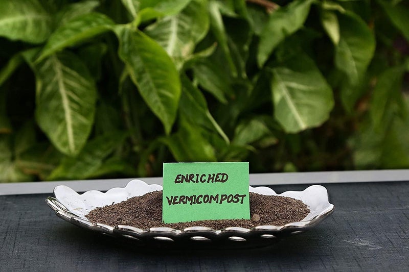 The Entacloo XL414 Vermicompost Homemade Organic Compost for Home Garden 3Kgs - Image 3