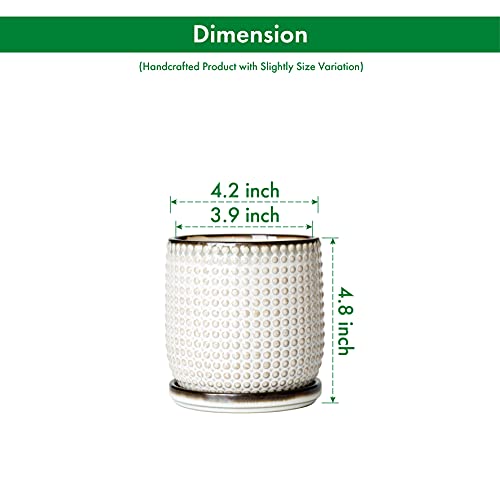 D'vine Dev Set of 2 Ceramic Plants Pots, 4 Inch Beaded Stoneware Flower Pot for Plants with Drainage Hole and Saucer, Smoked White, 27-E-Z-1 - Image 2
