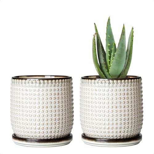 D'vine Dev Set of 2 Ceramic Plants Pots, 4 Inch Beaded Stoneware Flower Pot for Plants with Drainage Hole and Saucer, Smoked White, 27-E-Z-1 - Image 1