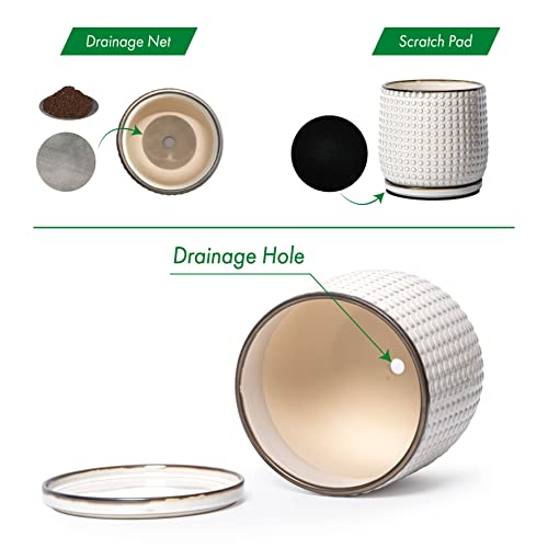 D'vine Dev Set of 2 Ceramic Plants Pots, 4 Inch Beaded Stoneware Flower Pot for Plants with Drainage Hole and Saucer, Smoked White, 27-E-Z-1 - Image 4