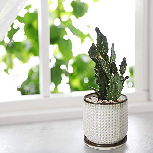 D'vine Dev Set of 2 Ceramic Plants Pots, 4 Inch Beaded Stoneware Flower Pot for Plants with Drainage Hole and Saucer, Smoked White, 27-E-Z-1 - Image 5