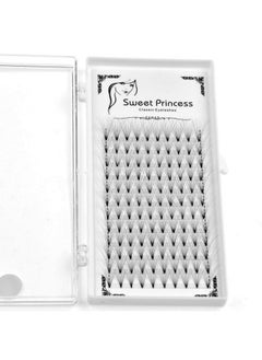 12Rows120Pcs 10D Premade Volume Fans Eye Lashes Extensions Thickness 0.07Mm D Curl Black Soft Individual False Eyelashes Makeup Fake Lashes Cluster 818Mm To Choose (11Mm) - pzsku/Z61F9BB8AA9E160751EF8Z/45/_/1683269271/37e394f0-1ea9-4353-983a-255061e00afd