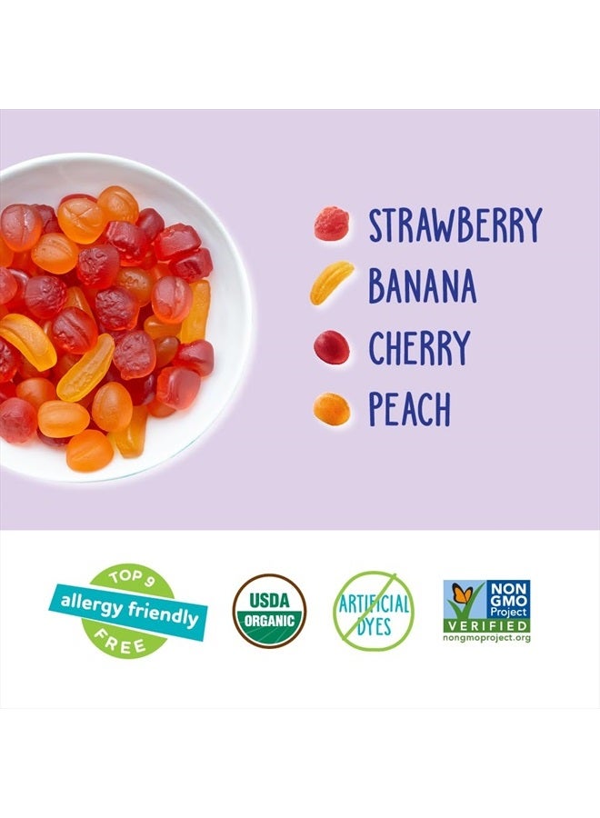 YumEarth Organic Fruit Snacks Box, 0.7 Ounce (Pack of 10) - Image 4