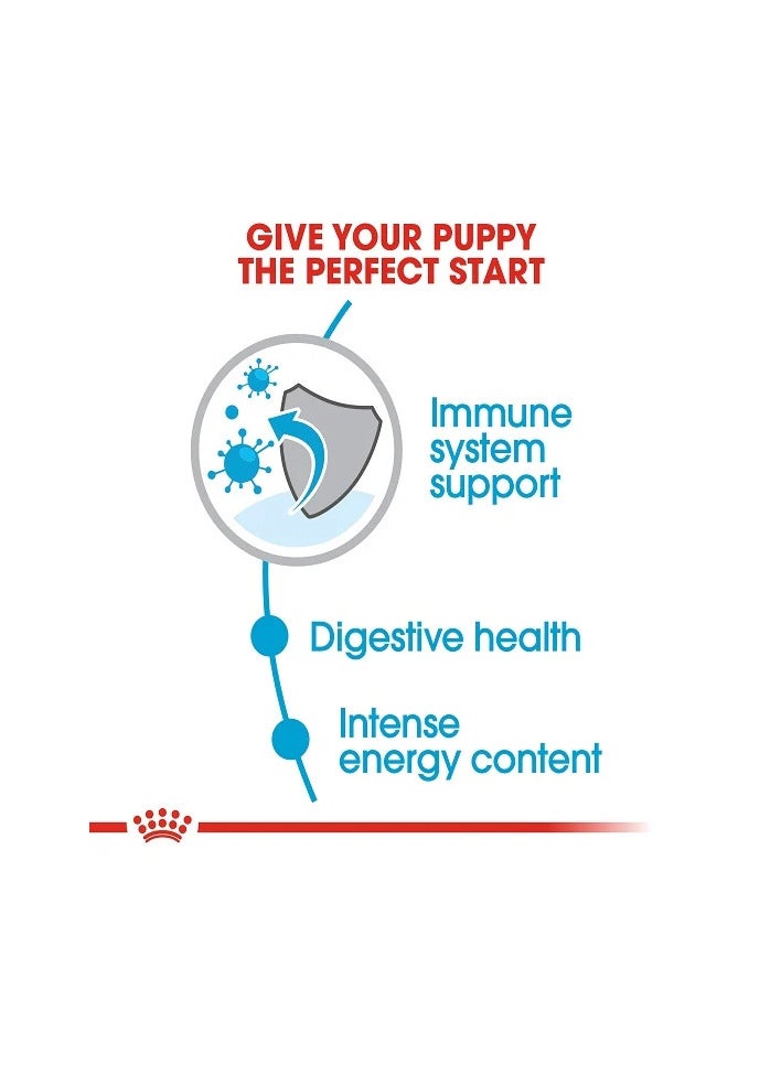 رويال كانين طعام رويال كانين الجاف للجراء من السلالات الصغيرة (حتى 10 كجم)، 8 كجم - Image 4