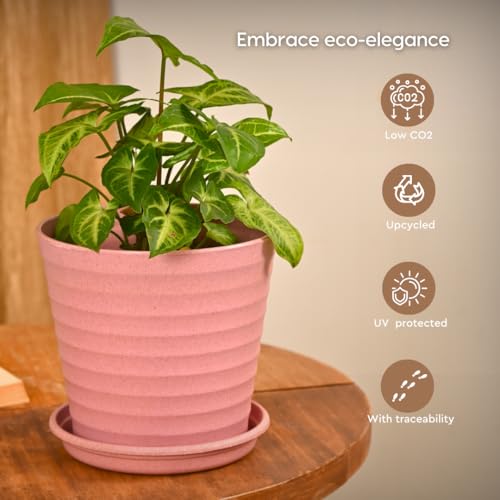 Eha Set of 3 Earth-Friendly Linea 5.5" Pots for Plants | Bamboo Based Plant Pots | UV Protected | Flower Pot for Indoor, Home Decor, Outdoor, Balcony & Garden | Multicolor - Image 4