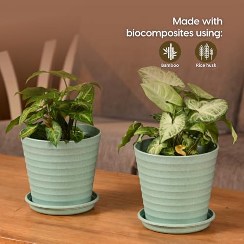 Eha Set of 3 Earth-Friendly Linea 5.5" Pots for Plants | Bamboo Based Plant Pots | UV Protected | Flower Pot for Indoor, Home Decor, Outdoor, Balcony & Garden | Multicolor - Image 3