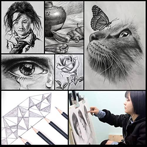 Heshengping Drawing Pencils Sketch Pencil Art Supplies Set for Kids Adults beginners Professional Sketching Art Graphite Charcoal Blending Stump Pencils kit - Image 5