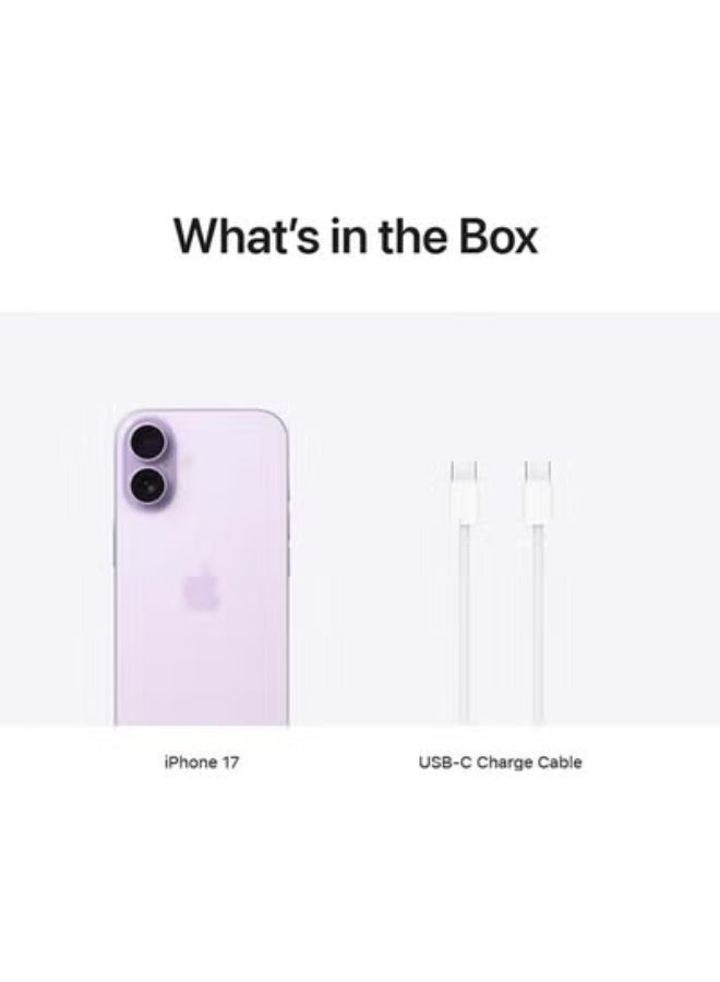 ابل  iPhone 17 256GB Lavender 5G (Nano SIM + eSIM) With FaceTime - Middle East Version - Image 5