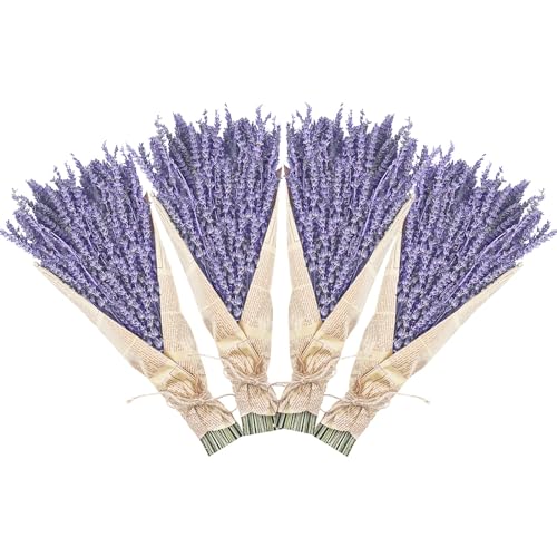 Uieke Dried Lavender Bundles Uieke Natural Dried Lavender Flowers 280300 Stems 16 for Home Weeding Decoration Flower Arrangements Photo Props Home Fragrance 4 Bundles 