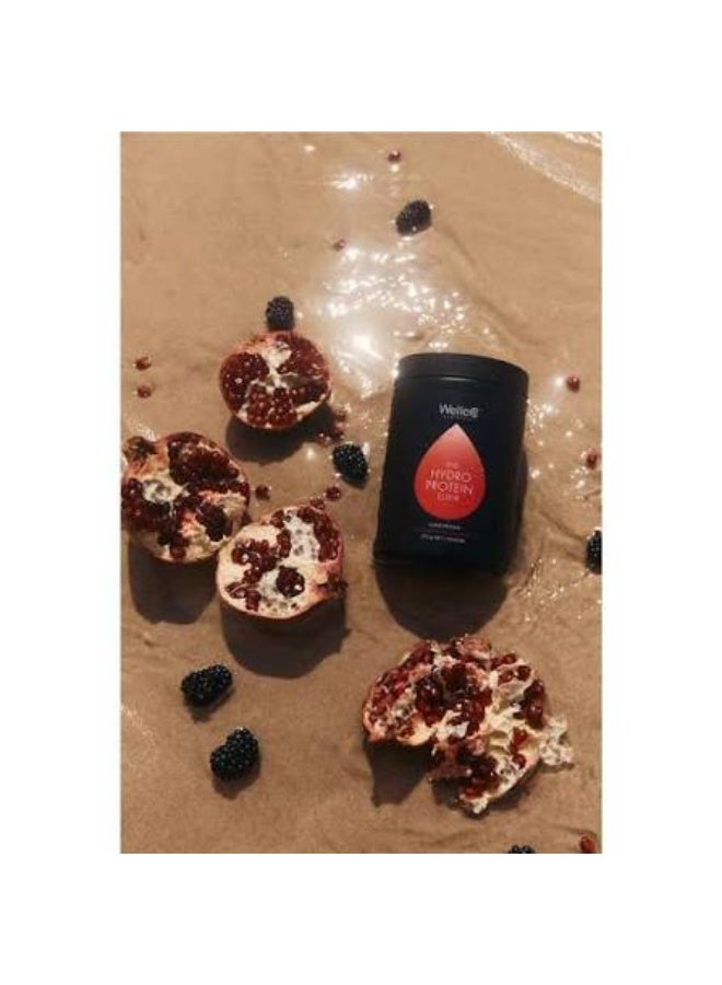 WelleCo The HydroProtein Elixir - Blackcurrant & Pomegranate 270g - Image 3