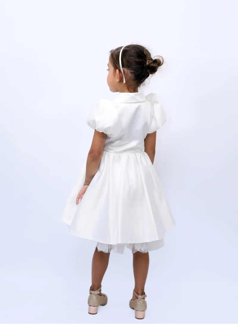 D'Daniela Satin Shawl Collar Dress