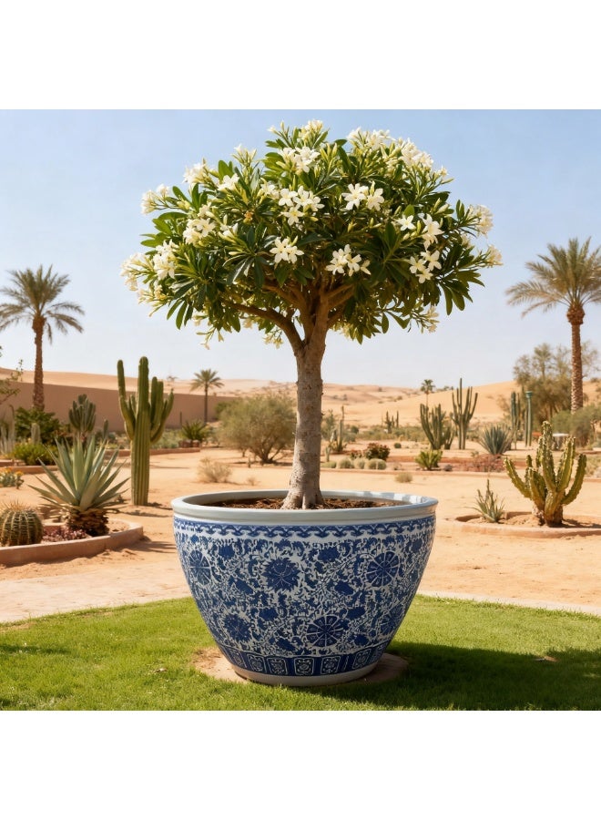 Large Blue & White Ceramic Planter Pot 60 cm  Traditional Floral Design  Indoor Outdoor Flower Vase Premium Glazed Porcelain Plant Pot Home Garden Décor - Image 2