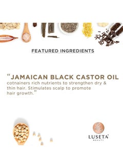 L LUSETA Luseta Jamaican Black Castor Oil Shampoo Strengthen And Restore Fine And Dry Hair Scalp Care 16.9Oz  - Image 3