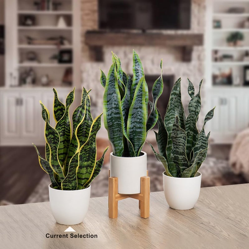 Hollyone Artificial Snake Plant Potted Faux Sansevieria Trifasciata Plants, 16.5" Tropical Fake Snake Plants in White Pots for Home Office Room Indoor Decor Housewarming Gifts - Image 4