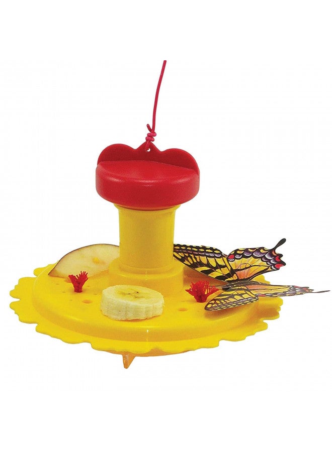 Songbird Essentials SE78215 Butterfly Feeder/Nectar Combo (Set of 1) - Image 1