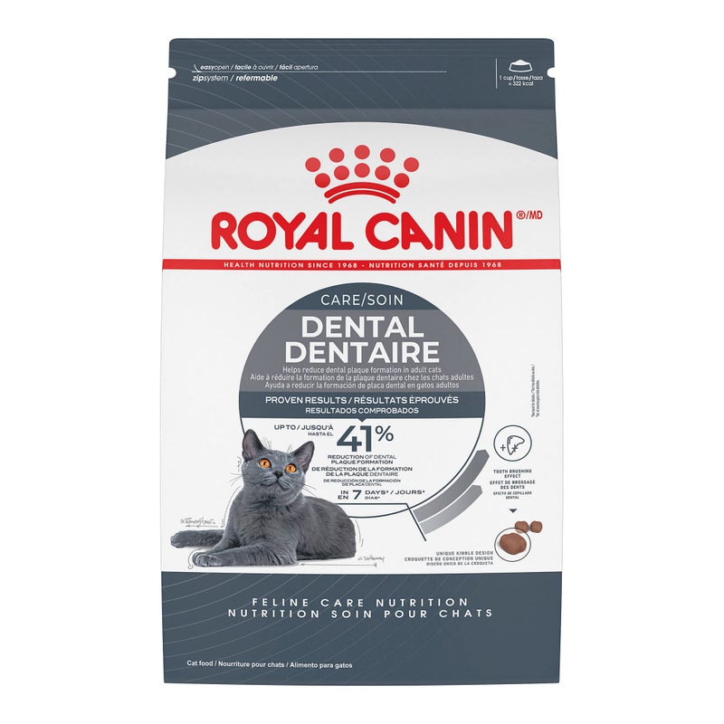 Royal Canin Feline Care Nutrition Dental Care Adult Dry Cat Food, 6 lb Bag - Image 1