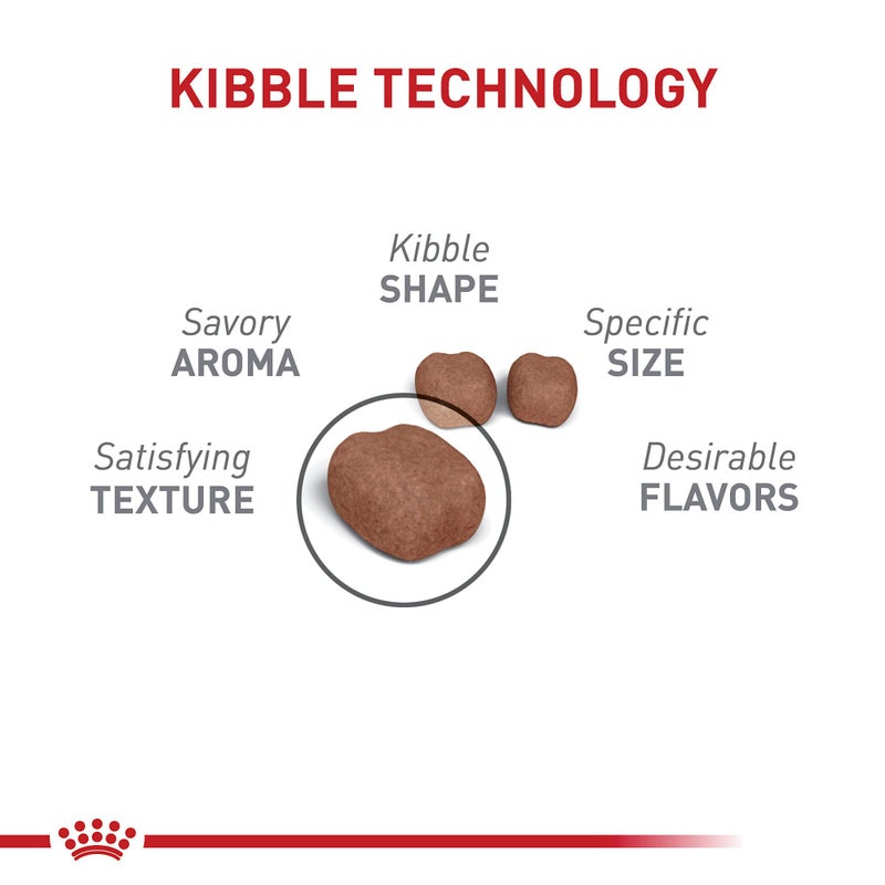 Royal Canin Feline Care Nutrition Dental Care Adult Dry Cat Food, 6 lb Bag - Image 3