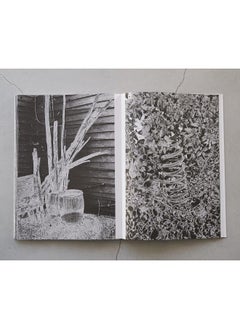 Samsara  - Image 3