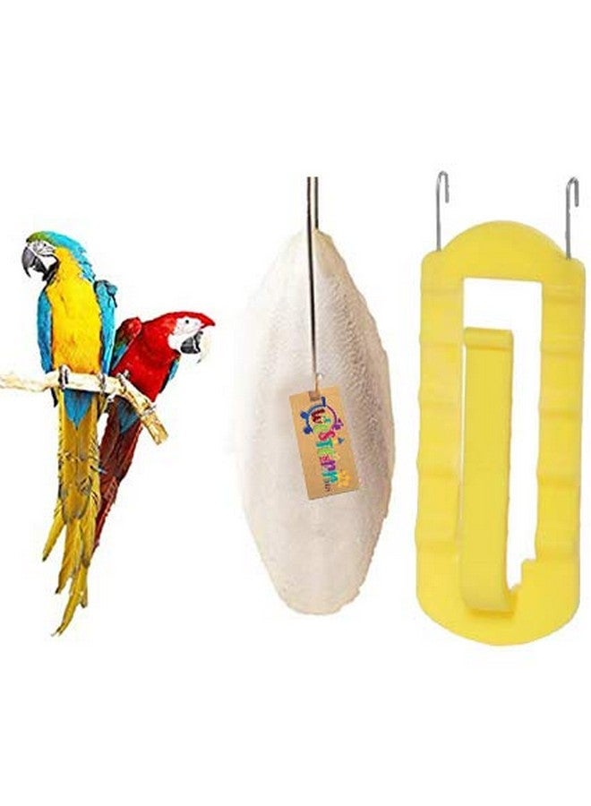 Western Era Natural Calcium Source Cuttlebone Fish for Birds, Parrot (100grm + Holder) - Image 1