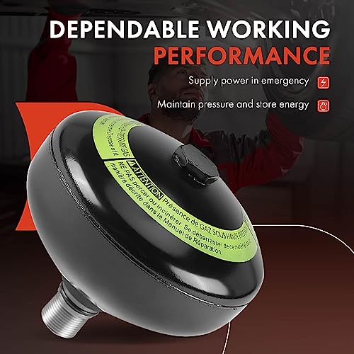 A-Premium 4Pcs Front & Rear Suspension Accumulator Compatible with Toyota Land Cruiser 2008-2021 & Lexus LX570 2008-2021, Driver and Passenger Side, Replace# 49141-60020, 49151-60020 - Image 2