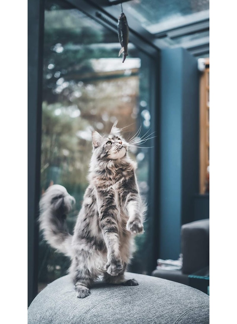 Aime Cat Toy Fishing Rod 40 Cm - Image 5