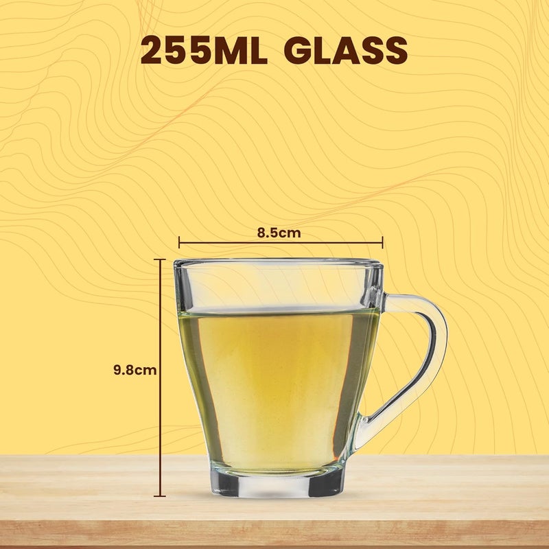 SAND DUNE SAND DUNE Hollywood Glass CoffeeTea MugsHeat Resistant Dishwasher SafeSet of 2 255ml Transparent Classy Design Easy to HoldSoda Lime Glass - Image 5