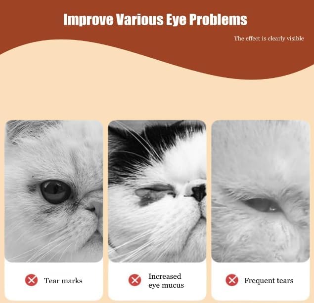 LUVINA Pet Wipes for Cleaning Eye Tear Stain, Fresh Scent Wet Wipes for Cat and Dog Grooming, Non-Woven Cleaning Pet Wet Wipes Non-irritating Cat Ear Wipes (Pack of 200 Wipes) - Image 4